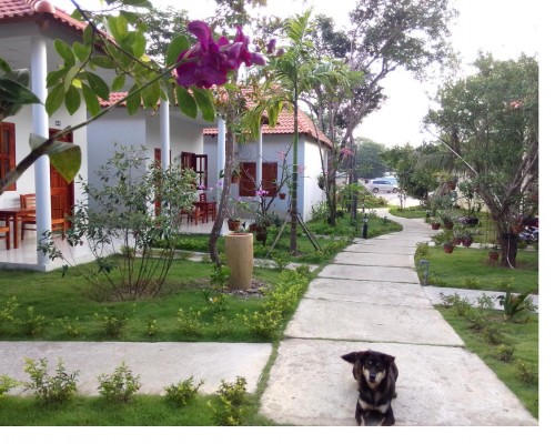 Highland Bungalow на Фукуоке: бунгало в саду недалеко от пляжа