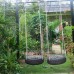 Mai Binh Phuong Bungalow 2* — бунгало на Фукуоке, Дуонг-Донг