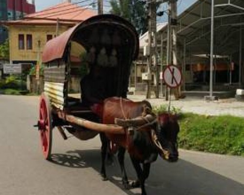 The Bed в Хиккадуве: честный обзор гостевого дома