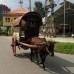 The Bed в Хиккадуве: честный обзор гостевого дома