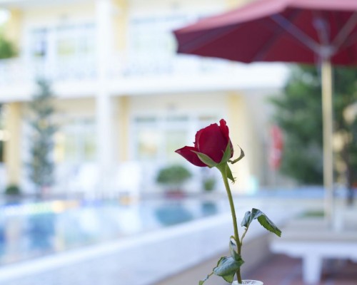 Lam Ha Hotel 3* на Фукуоке