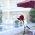 Lam Ha Hotel 3* на Фукуоке