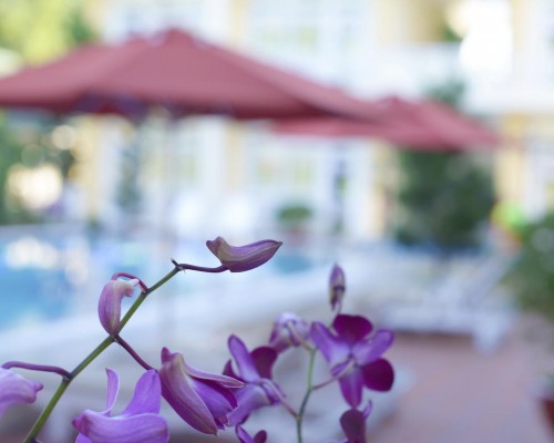 Lam Ha Hotel 3* на Фукуоке