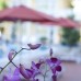 Lam Ha Hotel 3* на Фукуоке