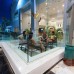 Sharming Inn 4* в Шарм-эль-Шейхе: что важно знать до брони