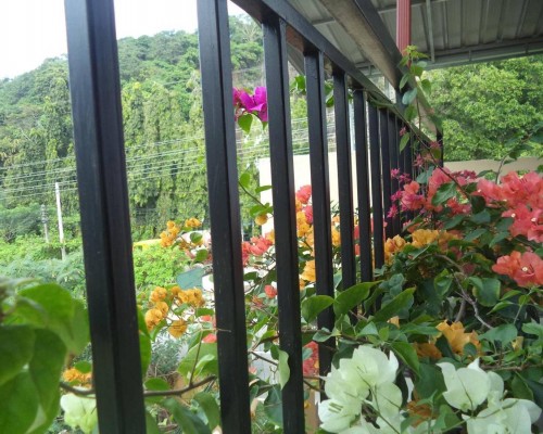 My Place Guest House 3* — Унаватуна, Шри-Ланка