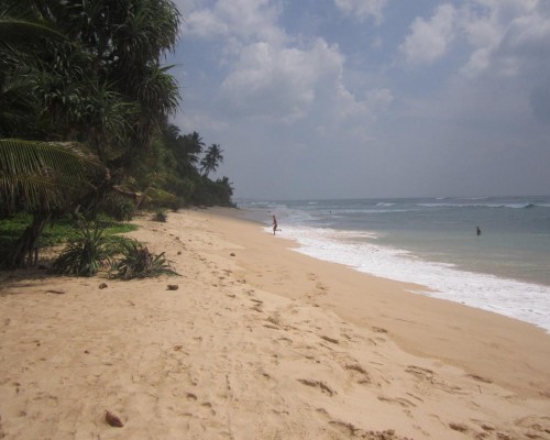 White Surfing Beach Resort 1* — Унаватуна, Шри-Ланка