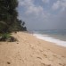 White Surfing Beach Resort 1* — Унаватуна, Шри-Ланка