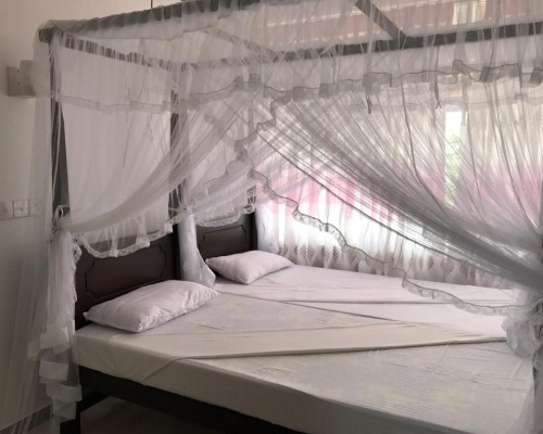 Hotel Blue Sky 3* в Хиккадуве — 50 метров до пляжа