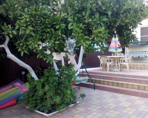 Anna-Saria Guest House, Гагра — гостевой дом у моря