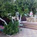 Anna-Saria Guest House, Гагра — гостевой дом у моря