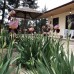 Cafe-Hotel Assir в Пицунде: что важно знать перед бронированием