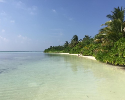 Olive Goidhoo, Баа Атолл: честный обзор отеля