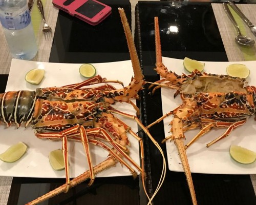 Olive Goidhoo, Баа Атолл: честный обзор отеля