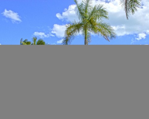 Sercotel Club Cayo Guillermo — пляжный отель на Кайо-Гильермо