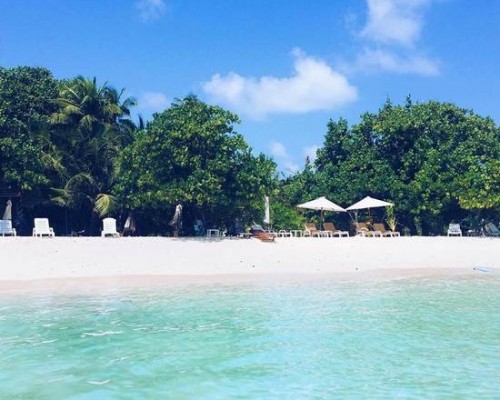 Palm Lodge на атолле Каафу (Северный Мале): что это за отель