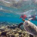 Palm Lodge на атолле Каафу (Северный Мале): что это за отель