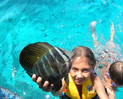 Blue Reef ex. Club Z — отель 2* в Шарм-эль-Шейхе