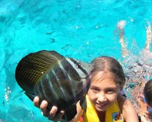 Blue Reef ex. Club Z — отель 2* в Шарм-эль-Шейхе