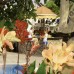 Belle Vue Hotel 3* (Бельдиби, Турция): взгляд турагента