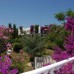Отель Kosdere Garden 3* в Аланье: честный обзор от турагента