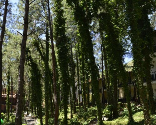 Grand Yazici Club Marmaris Palace 5*: семейный клуб на первой линии в Мармарисе