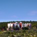 Marinem Patara Resort 4* — отель в Каше, Турция