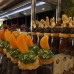 Sheraton Cesme Resort 5* — отдых в Чешме на первой линии