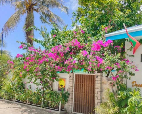 Dream Inn 3* — Северный Мале, остров Тулусду