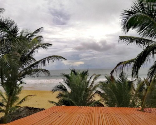 Serenade Beach Hotel 3* в Хиккадуве: что важно знать до брони