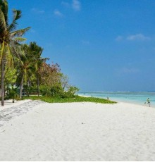 Coconut Tree Hulhuvilla Beach 4*