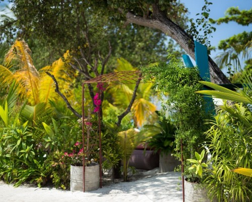 Tropical Village, Баа Атолл: что это за отель