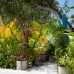 Tropical Village, Баа Атолл: что это за отель