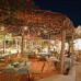 Al Diwan Resort 3* (Шарм-эль-Шейх): что важно знать перед бронированием