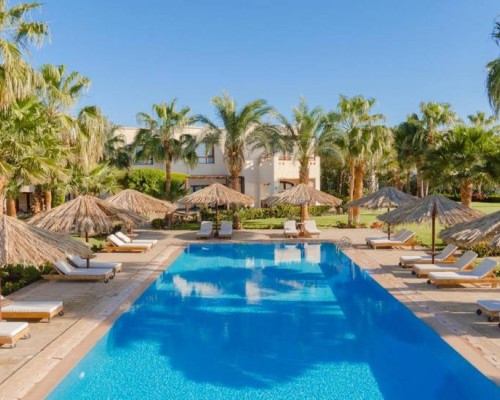 Tamra Beach Resort 4* в Шарм-эль-Шейхе — честный обзор отеля