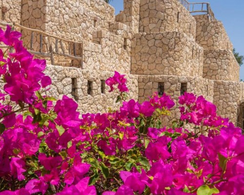 Tamra Beach Resort 4* в Шарм-эль-Шейхе — честный обзор отеля