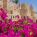 Tamra Beach Resort 4* в Шарм-эль-Шейхе — честный обзор отеля