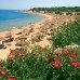 Domina Coral Bay Aquamarine Beach 5* — Шарм-эль-Шейх