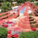 Regency Hotel 2* в Шарм-эль-Шейхе