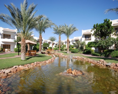 Dive Inn Resort 4* — Шарм-эль-Шейх, Египет