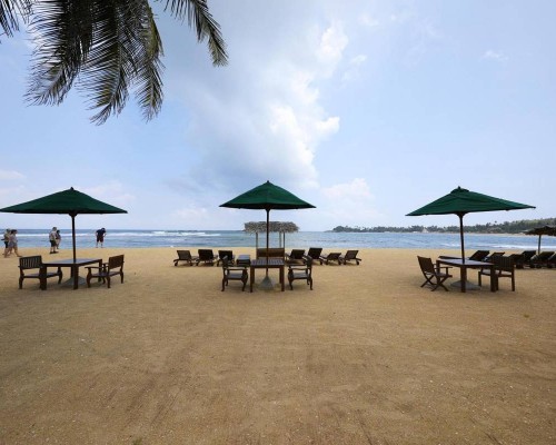 Joe's Resort Unawatuna — отель 2* на первой линии в Унаватуне