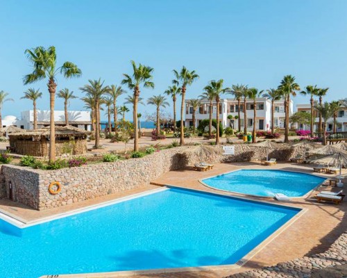 Club Reef 4* — Шарм-эль-Шейх, Египет