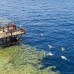 The Grand Hotel Sharm El Sheikh 4* — Шарм-эль-Шейх, Египет