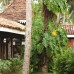 Club Bentota 4* — отель на первой линии в Бентоте, Шри-Ланка