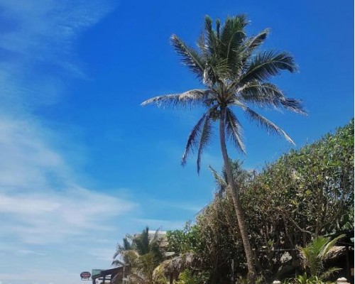 Moon Beam - The Beach Heaven в Хиккадуве