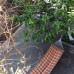 Коттеджи Eco Village в Новом Афоне: честный обзор