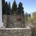 Tropicana guest house в Гагре: что это за место