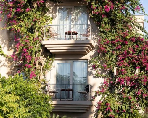 No 81 Hotel в Бодруме: подбор тура под ваш отдых