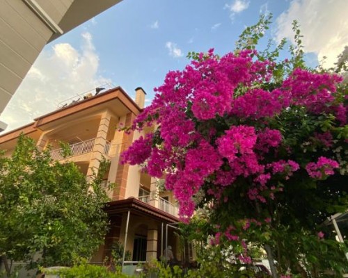 Midtown Fethiye Residences — апартаменты в центре Фетхие