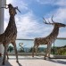 Hillstone Bodrum Hotel 5*: честный обзор от турагента Галины